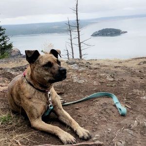 Meet your Posher, Thomas